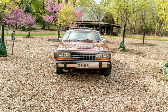 1986_american_motors_company_eagle_wagon_1618738540ef66e7dff9f98764da1986_american_motors_company_eagle_wagon_161873853966e7dff9f98764da18d1bc71-c940-41e1-a401-2dc592312631-zsb51J-scaled