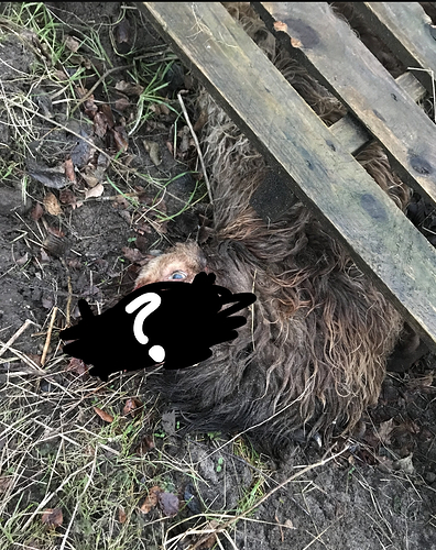 Screenshot_2025-12-07-14-01-10-777_com.android.chrome-edit