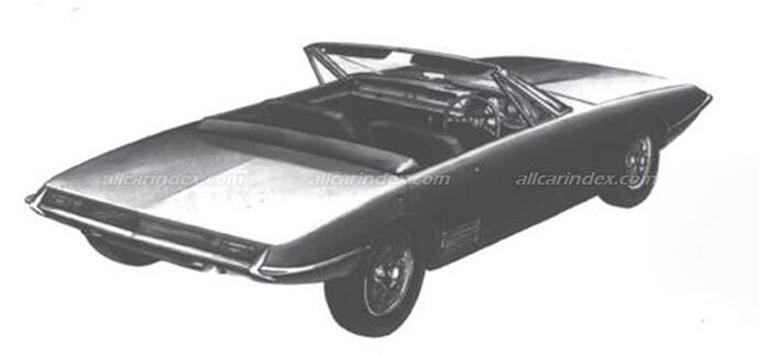 gannet-1000_002