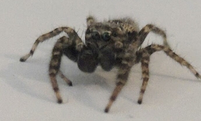 Screenshot_20250815_132449_Photos