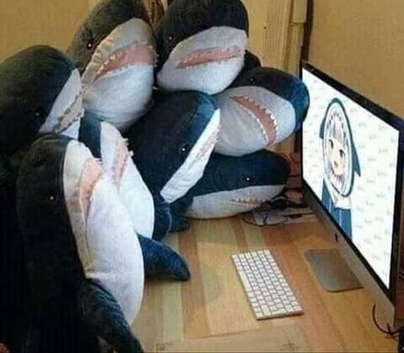 0b76de4a219805c07770d81946940043