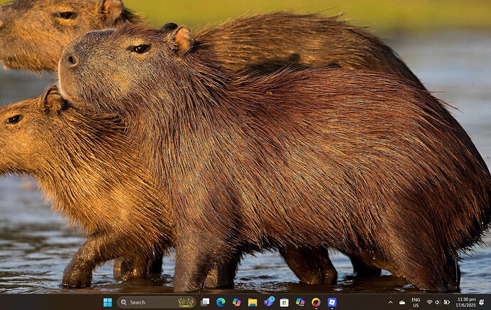 Screenshot 2025-06-17 233058