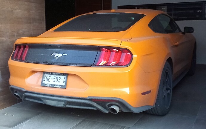 IMG_20220528_195625_8_1