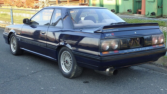 Nissan Skyline HR31 GTS-R for sale in Japan JDM EXPO