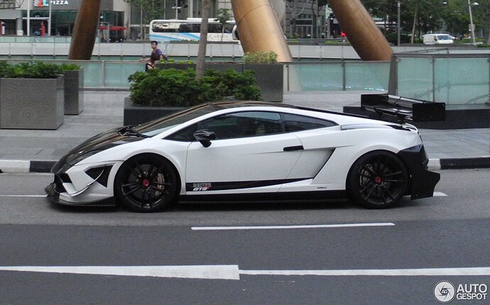 lamborghini-gallardo-lp560-4-reiter-engineering-gt3-c481016062016114603_1