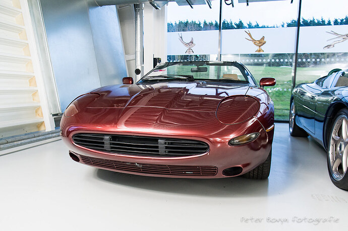 48461665886_892c5bbbdd_b