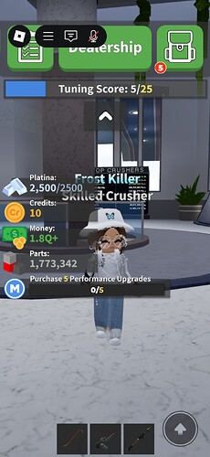 Screenshot_20250529_190524_Roblox