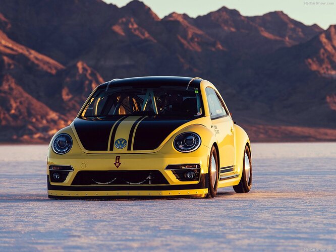 Volkswagen-Beetle_LSR-2016-1280-611cea161f15d8254dc81708c09b718bac