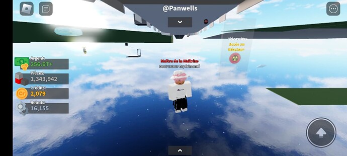 Screenshot_20230712_202159_Roblox