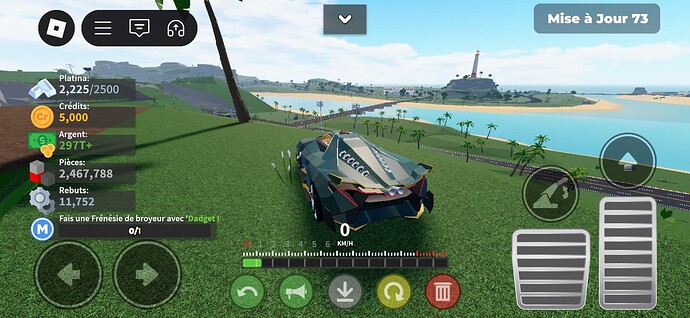 Screenshot_20250609_131445_Roblox