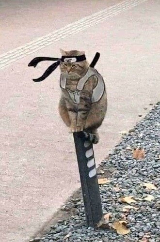 Screenshot_20250930_180524_Google