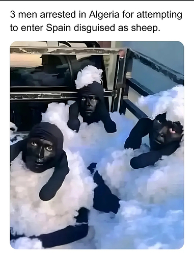 Screenshot_2025-12-06-23-22-37-976_com.instagram.android-edit