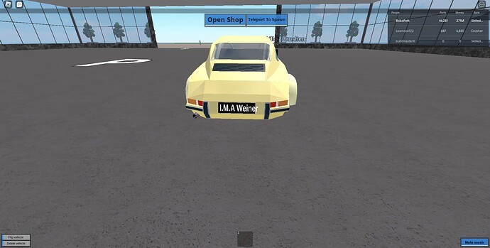 RobloxScreenShot20240605_103116845
