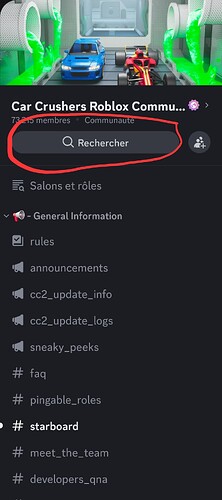 Screenshot_20250805_005901_Discord