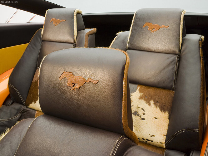 Ford-Mustang_Giugiaro_Concept-2006-1280-7fd1c93d2af5e9722f2b992ed14d9bbd89