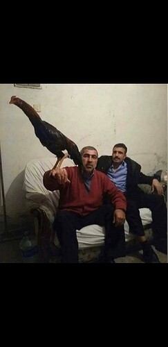 Screenshot_20250204-224004_X