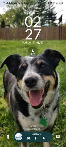 Screenshot_20250611_022736_Firefox