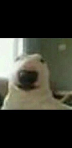 Screenshot_20241125-113407_X