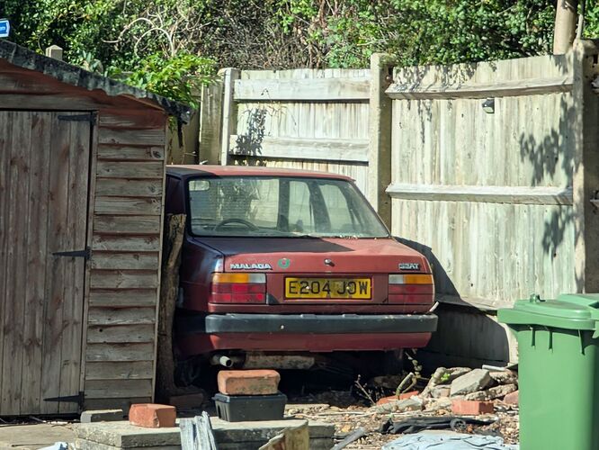 PXL_20250913_1327425153.jpg.66c55e22c0183f6355c5950e9760f6c7