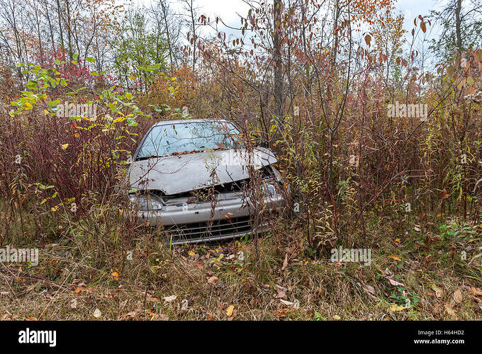 honda-sedan-abandoned-in-tall-grass-H64HD2