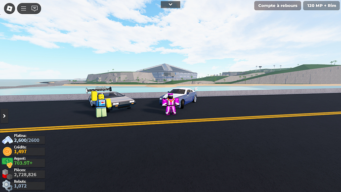 RobloxScreenShot20241122_155543518