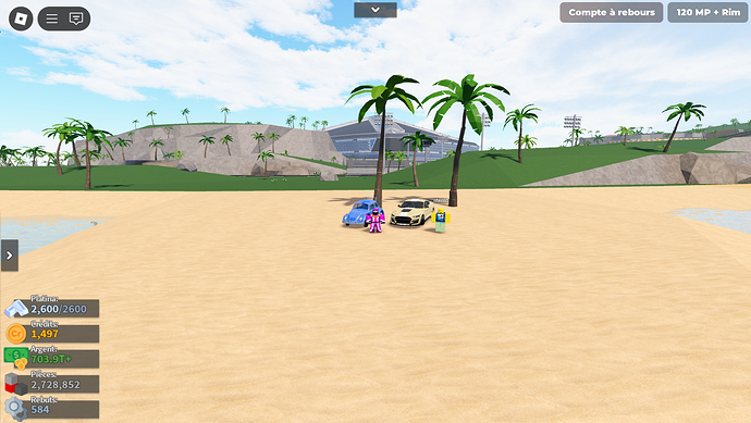 RobloxScreenShot20241122_161049148