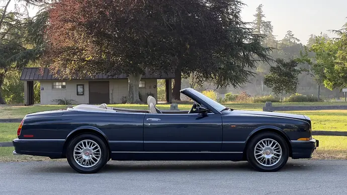 IMG_3100-58609-scaled