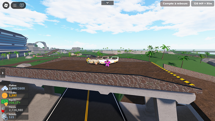 RobloxScreenShot20241122_163448698
