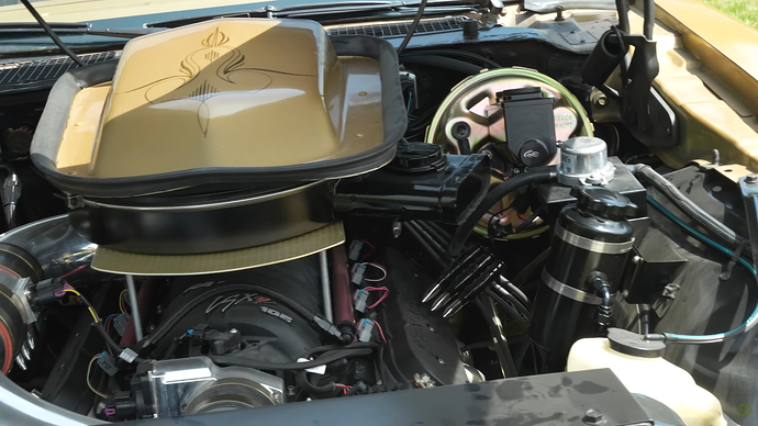 vivaldi_2duqAUodZK