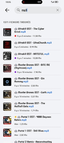 Screenshot_20260120_133555_com_hihonor_filemanager_SearchActivity