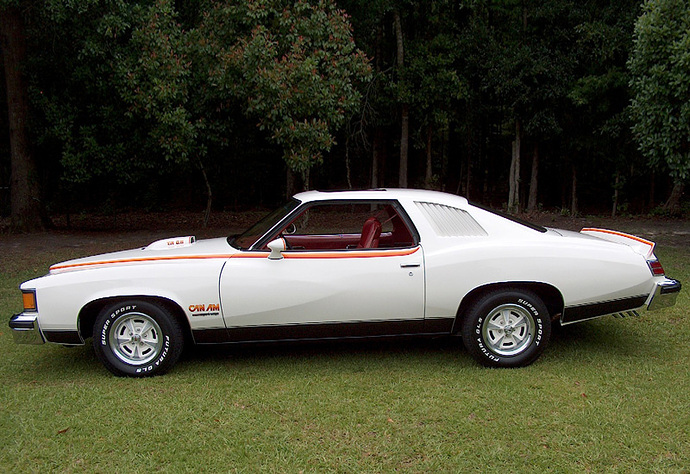 1977-pontiac-lemans-can-am-2