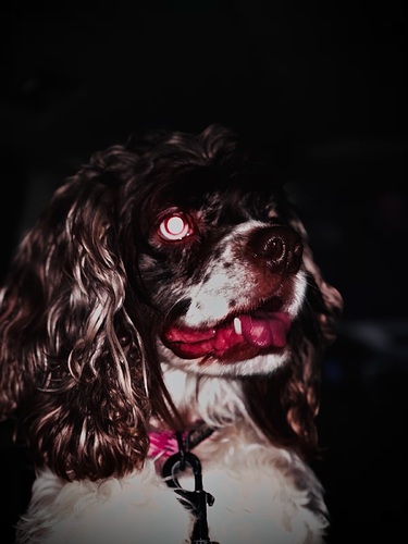 Ruby