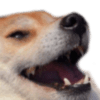 :dogkek: :dogkek: