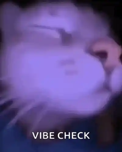 Leila the Cat Vibe Check