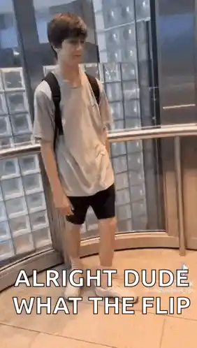 Alright Dude What The Flip