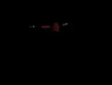 FNaF Foxy Jumpscare Meme