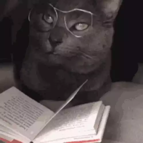 Favorite Cat Reading a Book with Glasses